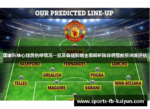 国家队核心球员伤停情况一览及备战影响全面解析阵容调整前景深度评估